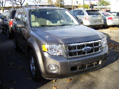 2010 FORD ESCAPE XLT